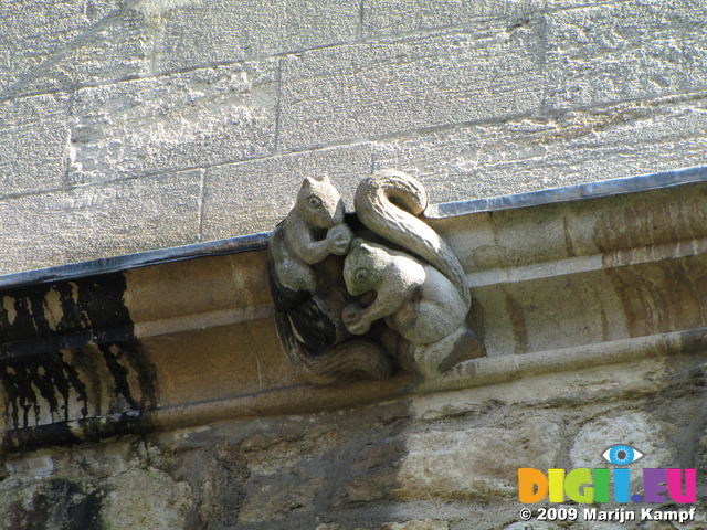 SX07858 Squirrel gargoyle Oxford building